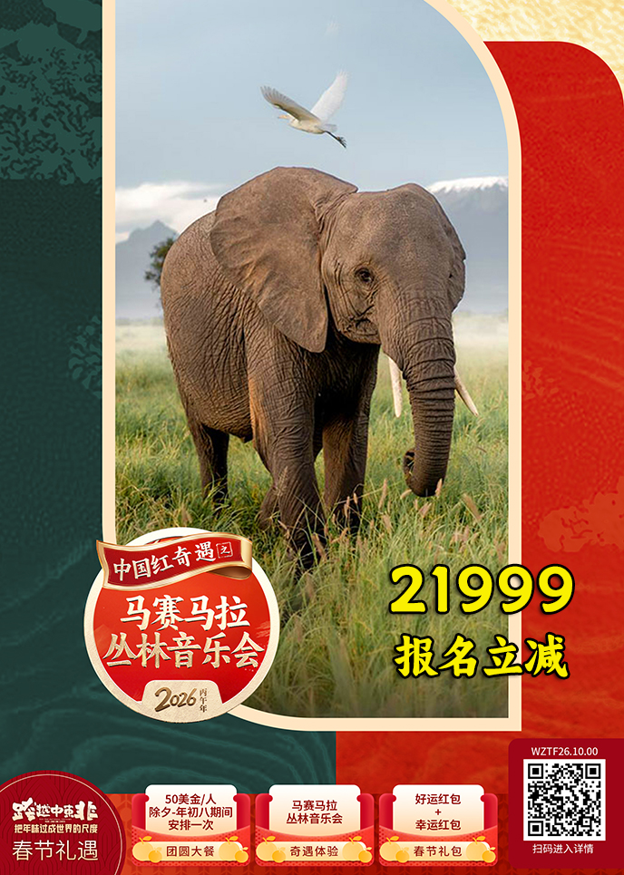 【2月肯尼亞團(tuán)期】馬賽馬拉 叢林音樂會 肯尼亞10天遊《報名(míng)立減詳詢>